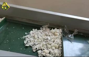 單軸撕碎機組，塑料膠塊撕碎